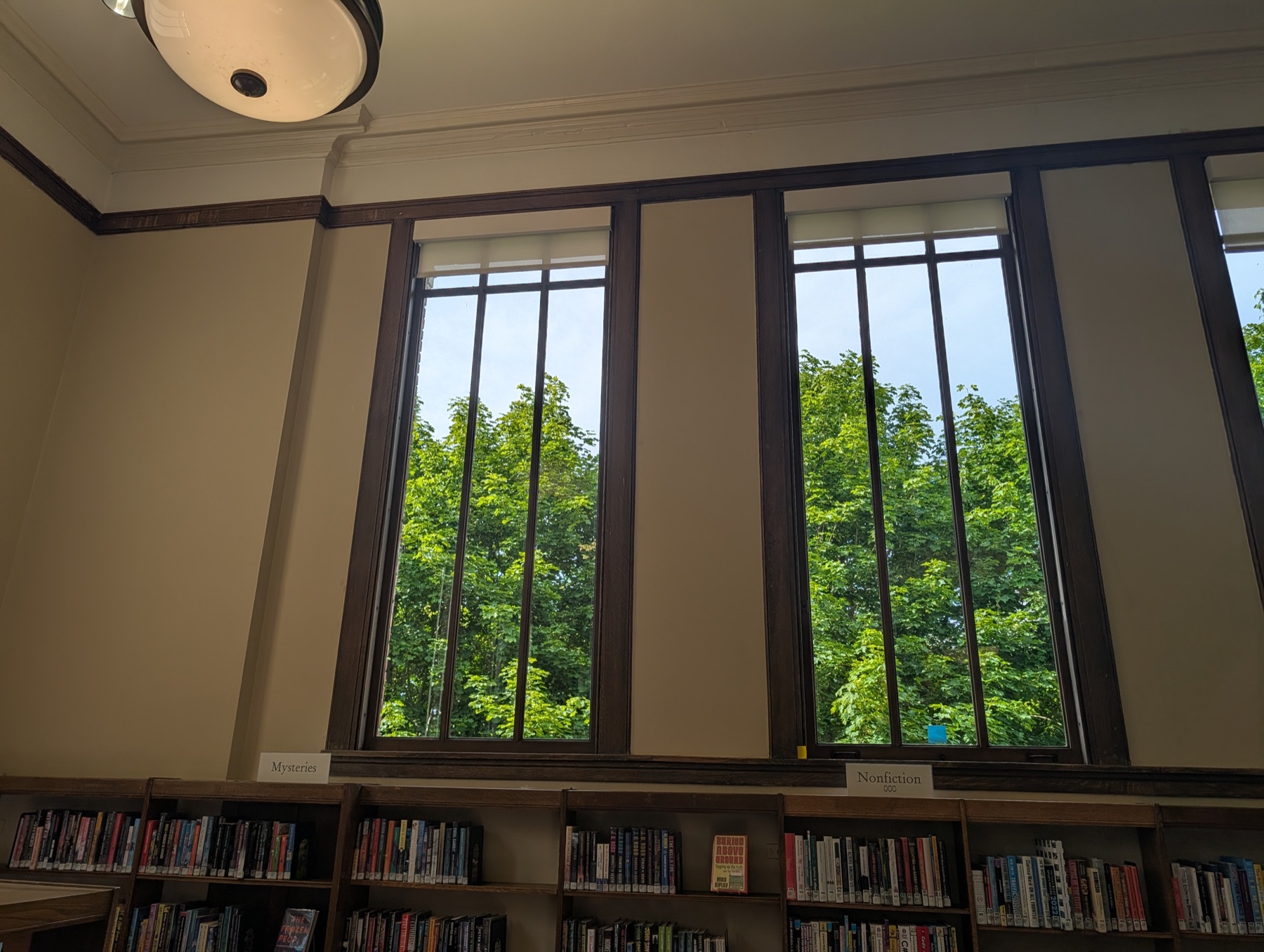 Tall library windows with green trees outside and bookshelves below.
